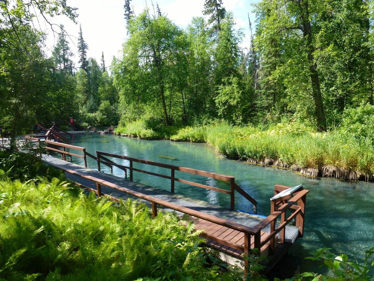 Liard River Hot Springs British Columbia